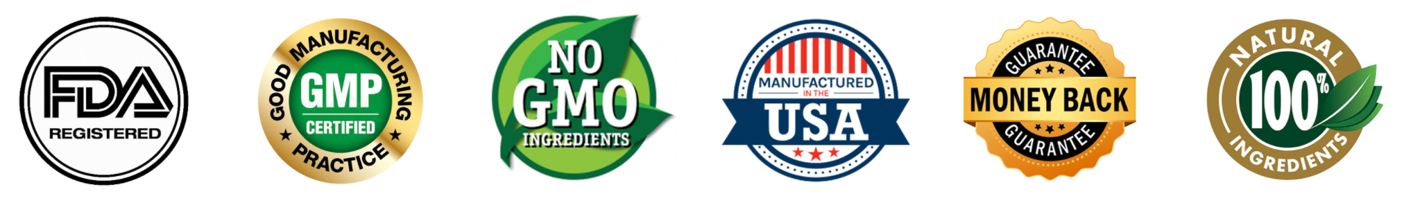 FastLeanPro GMP certified